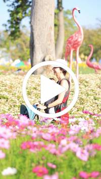 BIB:  <button type="button" onclick="openModal(27583622)" class="btn btn-primary btn-sm float-right" data-toggle="modal" data-target=".modal-high-quality">
                <i class="fa fa-download"></i> Download
                </button>